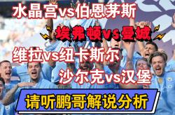 开云体育电脑版-水晶宫名帅受邀执教汉堡，引关注